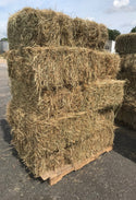 Hay Square Bales