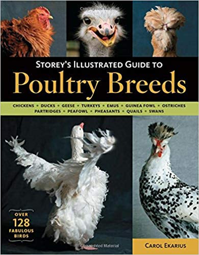 Storey’s Illustrated Guide to Poultry Breeds