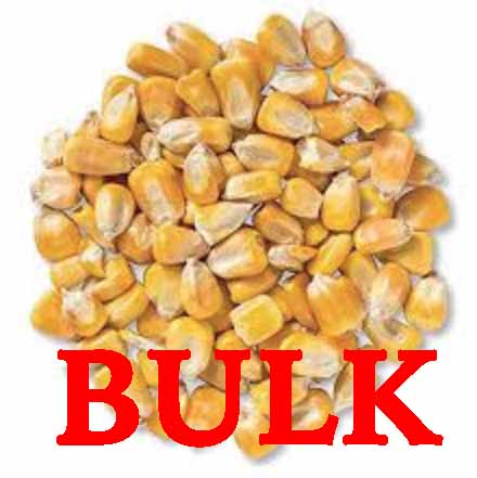 Corn, Whole, BULK