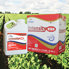 intensity grass herbicide Clethodim, Intensity, 2.5 Ga – G&DFarms