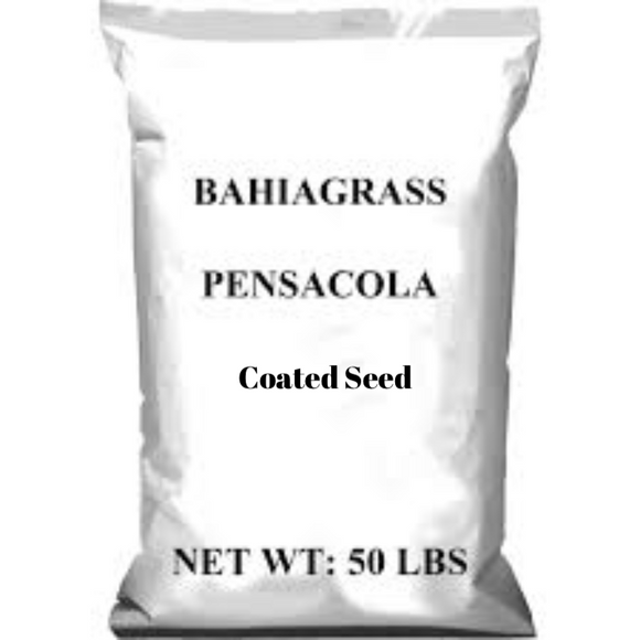 Bahia Seed, Pensacola (Coated)