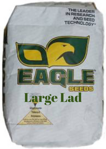 Soybean Seed, Eagle Large Lad Forage Round Up Ready