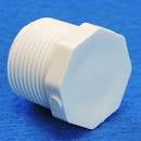 PVC Threaded Plug