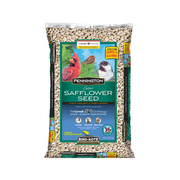 Safflower Seed, 7lb