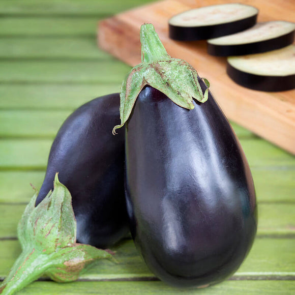 Eggplant, Black Beauty, 1/4oz