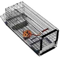 Pied Piper Small Rodent Trap, #100