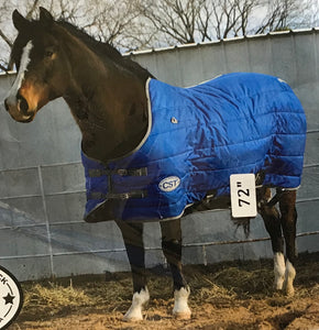 Winter Horse Blanket