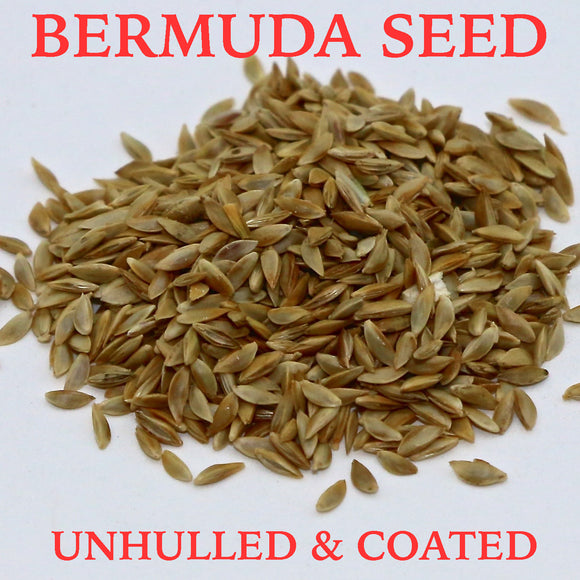 Bermuda Seed, Unhulled & Coated, 50lb