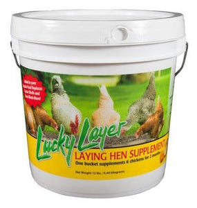 Lucky Layer Laying Hen Supplement, 12lb