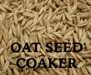 Oat Seed, Coaker, 50lb