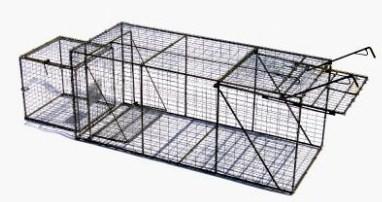 Pied Piper Live Animal Trap with Live Box, #401
