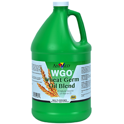 WGO Wheat Germ Oil Blend, 1gal